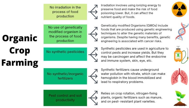 organic.food